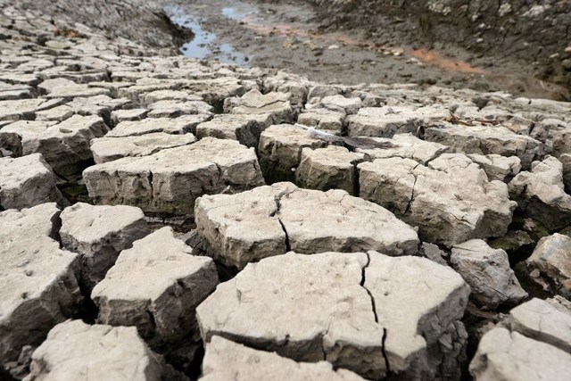 drought