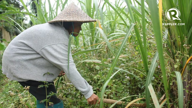 farmer