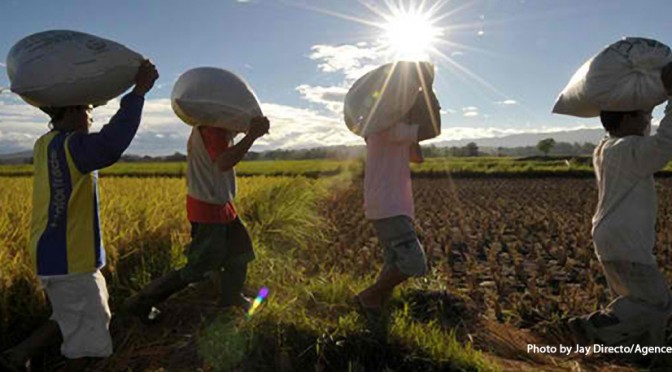 farmers